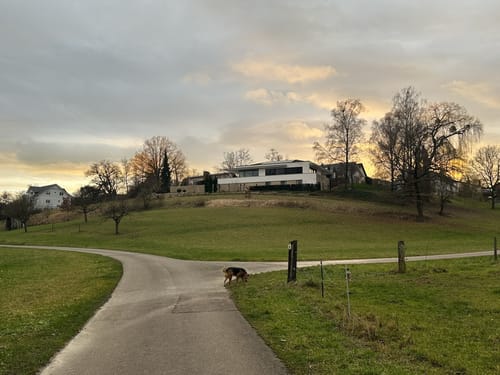 Heininger Drei-Königs-Lauf 2020