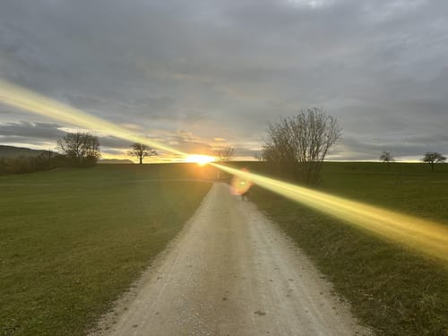 Heininger Drei-Königs-Lauf 2020
