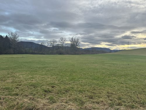 Heininger Drei-Königs-Lauf 2020
