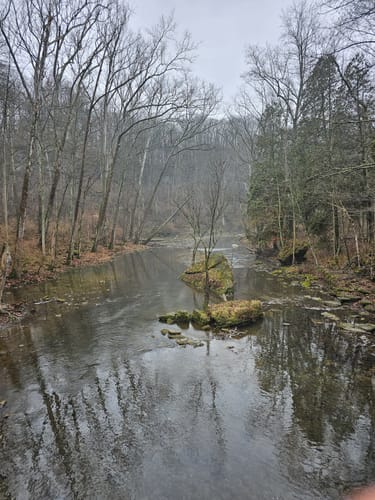 10 Best hikes and trails in John Bryan State Park AllTrails