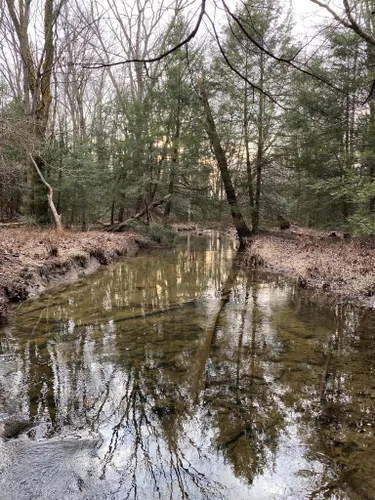 Best River Trails In State Game Lands Number 211 