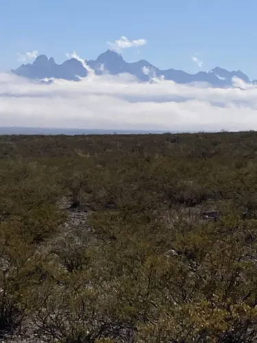 usda jornada experimental range