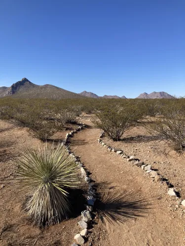 usda jornada experimental range