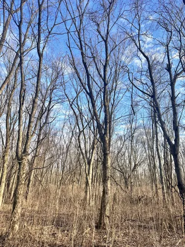 Best Hikes and Trails in Plum Creek Forest Preserve | AllTrails