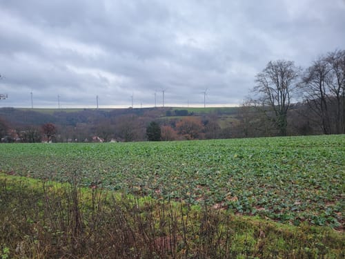 Lambsborn Rundweg
