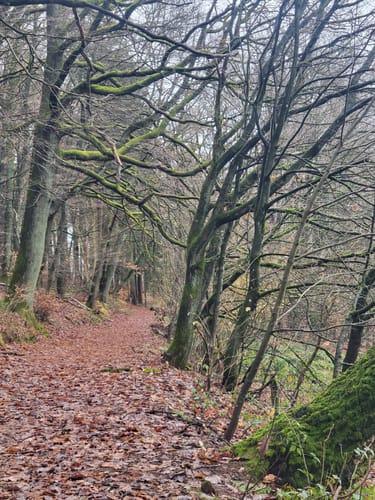 Lambsborn Rundweg