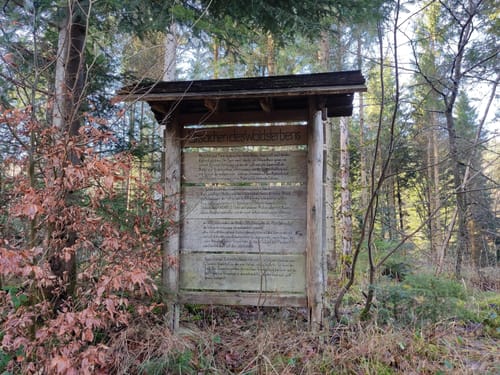 Junginger Wald