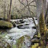 Cucumber Gap and Little River Loop Trail, Tennessee - 2,499 Reviews ...