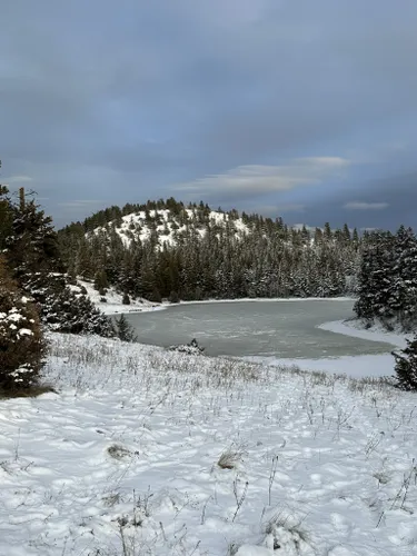 Best Hikes and Trails in Bust Lake Protected Area