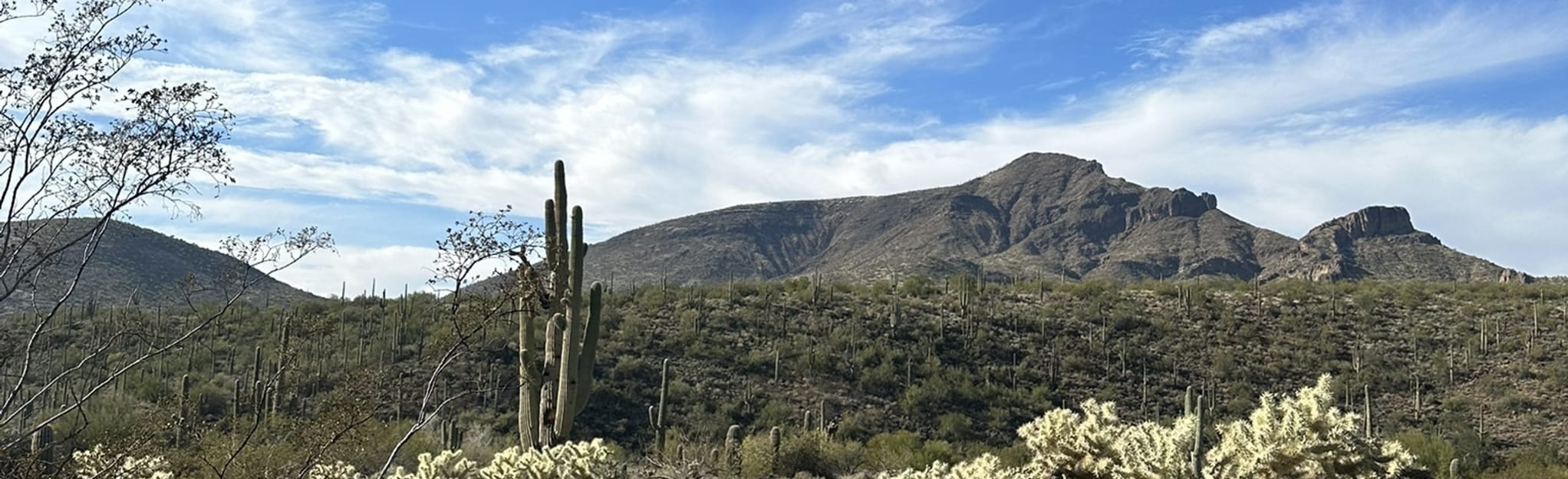 Cave Creek Cactus Classic Race Loop, Arizona 28 Reviews, Map AllTrails