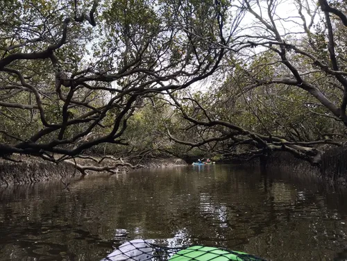 Best Hikes and Trails in Barker Inlet St Kilda Aquatic Reserve | AllTrails