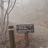 Dark Hollow Falls Trail Virginia - EyJidWNrZXQiOiJhc3NldHMuYWxsdHJhaWxzLmNvbSIsImtleSI6InVwbG9hZHMvcGhvdG8vaW1hZ2UvNjkwOTcyNTAvZWNlNTU1MmFkM2Y0MTU3MzY1N2Q5NWMzZDU4MmJkZmYuanBnIiwiZWRpdHMiOnsidG9Gb3JtYXQiOiJqcGVnIiwicmVzaXplIjp7IndpZHRoIjoxNjAsImhlaWdodCI6MTYwLCJmaXQiOiJjb3ZlciJ9LCJyb3RhdGUiOm51bGwsImpwZWciOnsidHJlbGxpc1F1YW50aXNhdGlvbiI6dHJ1ZSwib3ZlcnNob290RGVyaW5naW5nIjp0cnVlLCJvcHRpbWlzZVNjYW5zIjp0cnVlLCJxdWFudGlzYXRpb25UYWJsZSI6M319fQ==