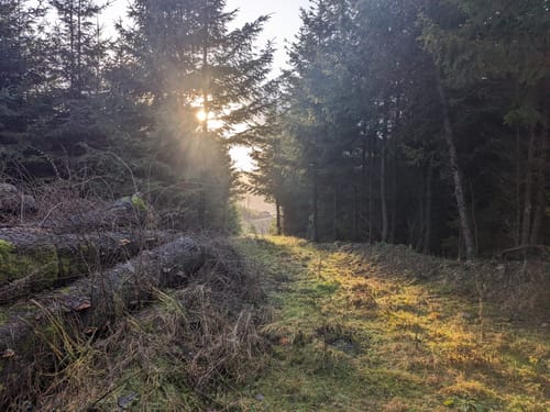 Endorf Rundweg E2: Hohe Liete