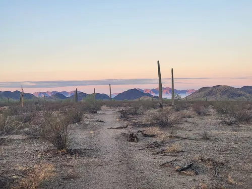 Best Hikes and Trails in Sonoran Desert National Monument | AllTrails