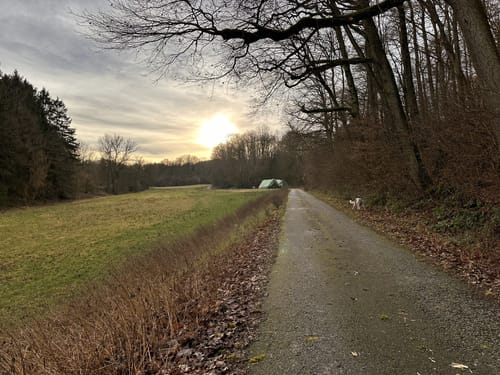 Um den Hobelter Berg ab Alschbach