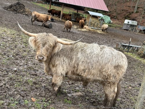 Um den Hobelter Berg ab Alschbach