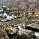 Rose River Trail, Virginia - 4,331 Reviews, Map | AllTrails