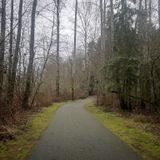 Nathan Chapman Memorial Trail, Washington - 1,446 Reviews, Map | AllTrails