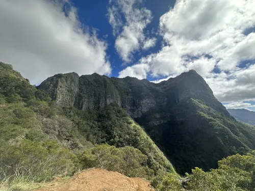 Tropical Treks: 5 Beautiful Hiking Trails in Wahiawa – Hawaii
