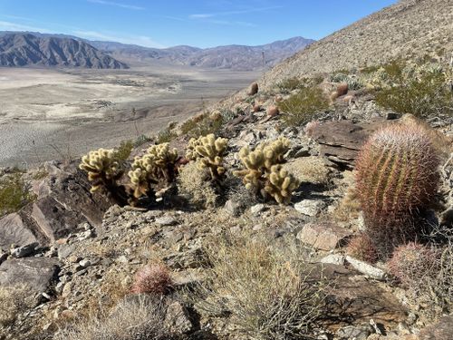 Anza borrego backpacking best sale