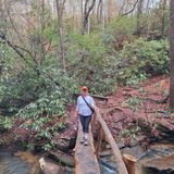 Raven Rock Loop Trail, South Carolina - 2,094 Reviews, Map | AllTrails