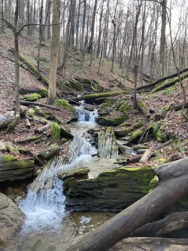 Best Hikes and Trails in Linn Run State Park | AllTrails