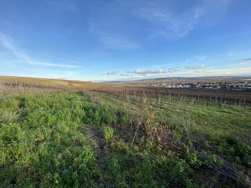 Von Bingen entlang der Nahe auf den Scharlachkopf