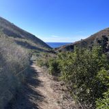 Corral Canyon Loop, California - 1,634 Reviews, Map | AllTrails