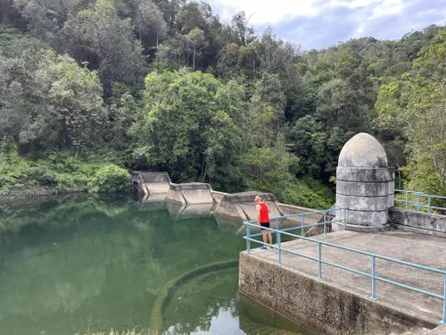 Best Hikes and Trails in Teluk Bahang Forest Park | AllTrails