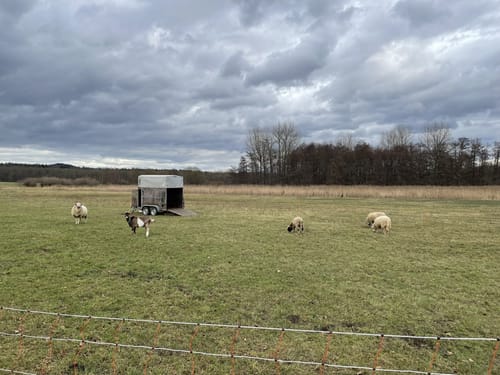 Wanderung Horrheim