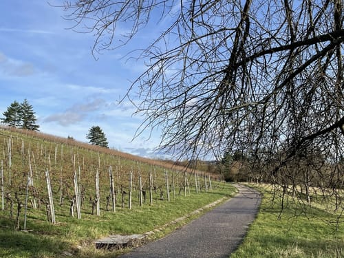 Wanderung Horrheim
