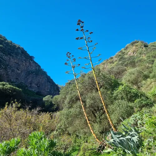 Los Mejores Senderos Con Cueva En Reserva Natural Especial De Los Marteles AllTrails