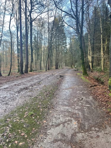 Schlosspark und Schloss Rastede