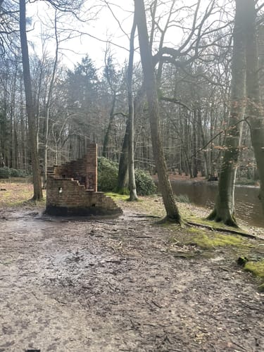 Schlosspark und Schloss Rastede
