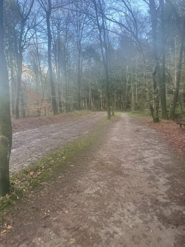 Schlosspark und Schloss Rastede
