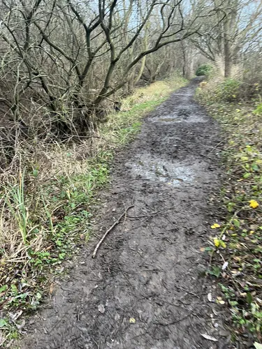 Best Hikes and Trails in Delapre Park | AllTrails
