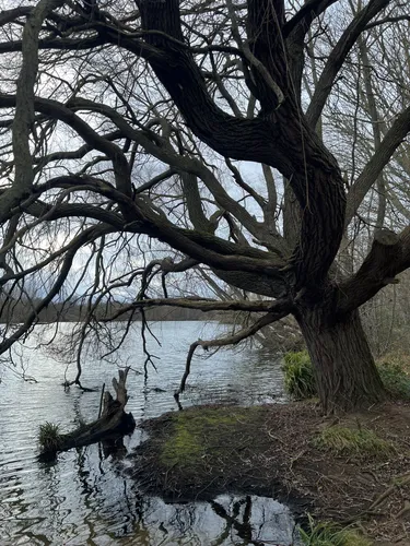 Best Hikes and Trails in Delapre Park | AllTrails