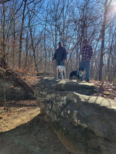Best Hikes and Trails in Giant City State Park | AllTrails