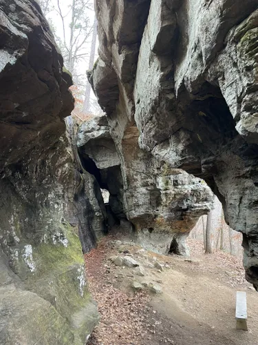 Best Hikes And Trails In Alum Cove Natural Bridge Recreation Area 