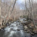 Cascades Falls Trail, Virginia - 2,280 Reviews, Map | AllTrails