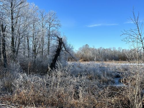 Photos of Wolford Minnesota trails AllTrails