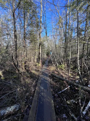 Historic Coast: 5 Beautiful Hiking Trails in Mackinaw City – Michigan