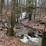 Wadsworth Falls Loop, Connecticut - 3,869 Reviews, Map | AllTrails