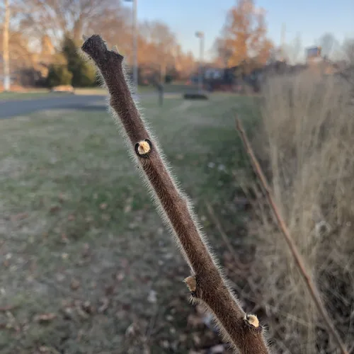 Best Hikes and Trails in Grays Ferry Crescent Trail Park AllTrails