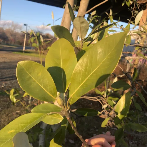 Best Hikes and Trails in Grays Ferry Crescent Trail Park AllTrails