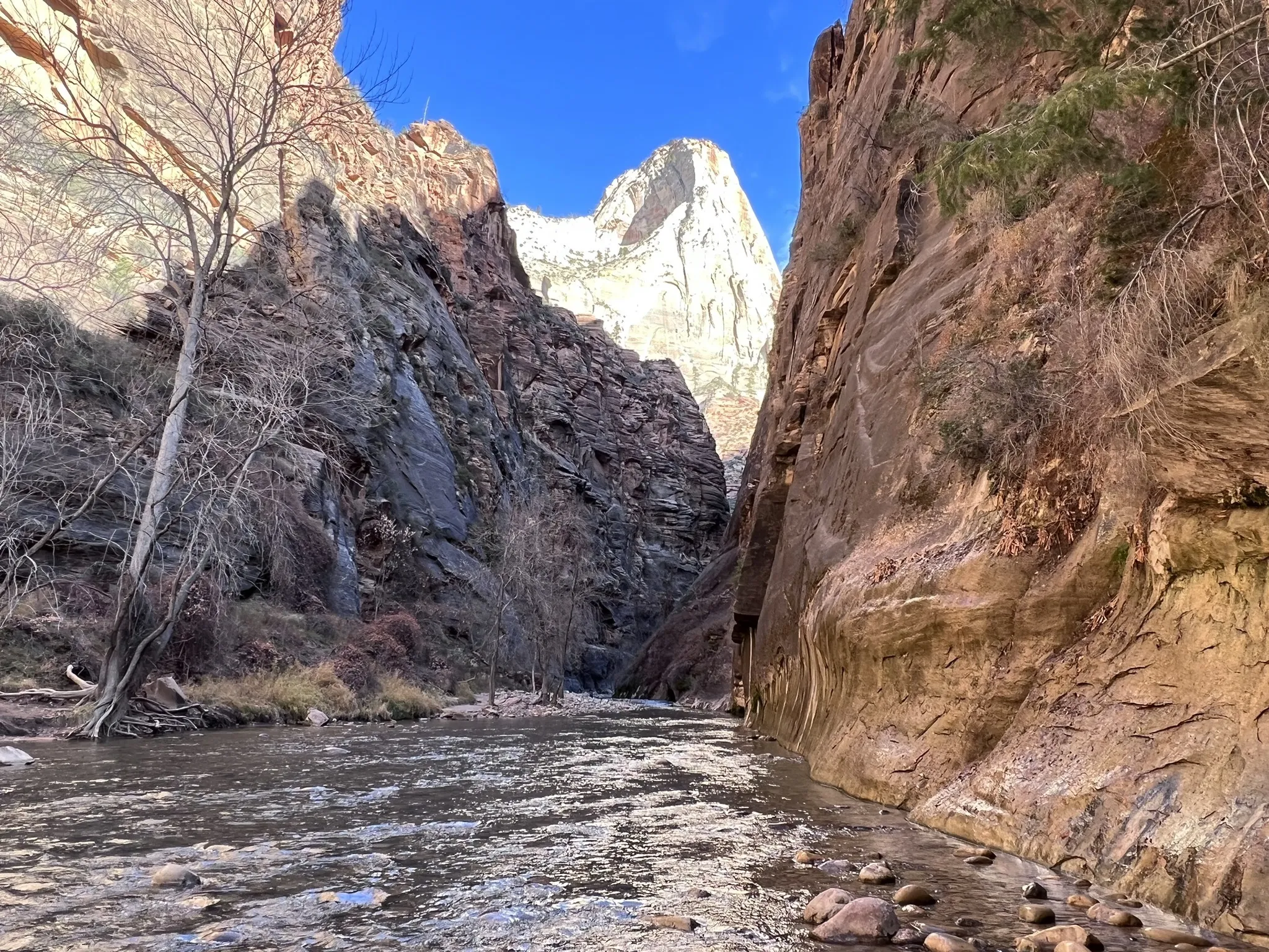 The Zion Narrows Riverside Walk