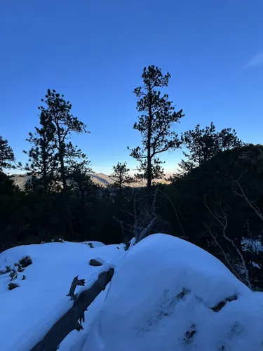 Best Hikes and Trails in Pinewood Springs | AllTrails