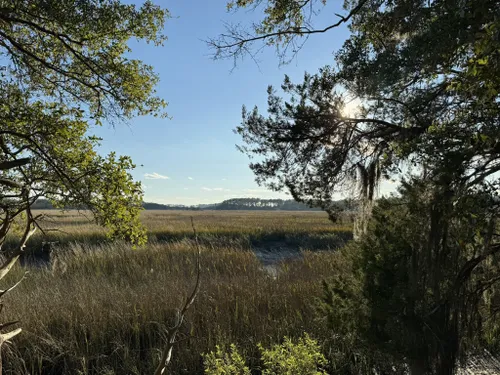 Best Hikes and Trails in Wormsloe State Historic Site | AllTrails