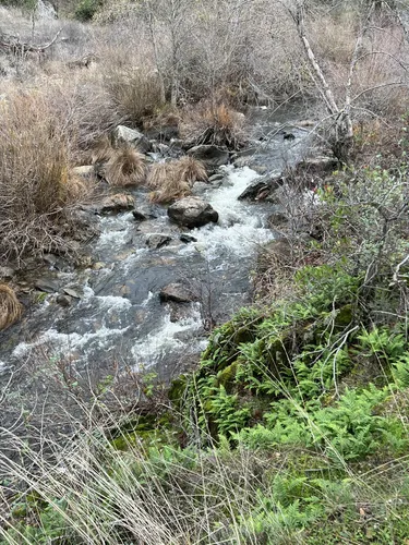 Best Walking Trails in Hidden Falls - EyJidWNrZXQiOiJhc3NldHMuYWxsdHJhaWxzLmNvbSIsImtleSI6InVwbG9hZHMvcGhvdG8vaW1hZ2UvNjkyMDM5MjEvMzM5MTNiNjQ4NjNlYmZkZGM5MWZjZGEwNDUyNjFkMjkuanBnIiwiZWRpdHMiOnsidG9Gb3JtYXQiOiJ3ZWJwIiwicmVzaXplIjp7IndpZHRoIjo1MDAsImhlaWdodCI6NTAwLCJmaXQiOiJpbnNpZGUifSwicm90YXRlIjpudWxsLCJqcGVnIjp7InRyZWxsaXNRdWFudGlzYXRpb24iOnRydWUsIm92ZXJzaG9vdERlcmluZ2luZyI6dHJ1ZSwib3B0aW1pc2VTY2FucyI6dHJ1ZSwicXVhbnRpc2F0aW9uVGFibGUiOjN9fX0=