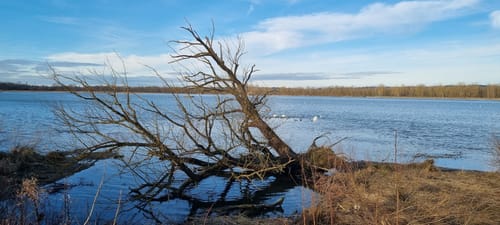 Echinger Stausee